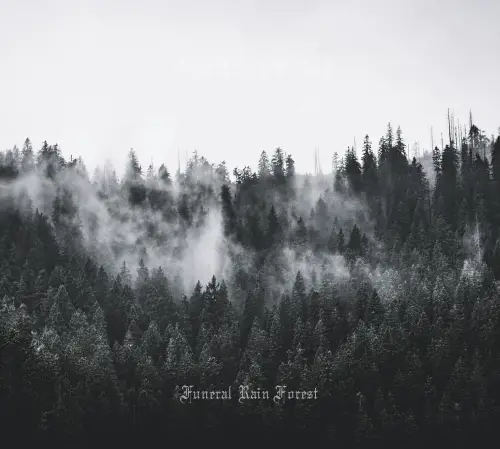 Ashes Head : Funeral Rain Forest